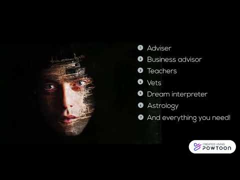 Wise AI Chatbot