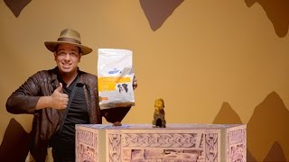 Hill's Prescription Diet Urinary Care Dog Food | Chewy