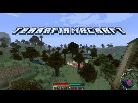 TerraFirmaCraft - Episode 22 - Completed Roof