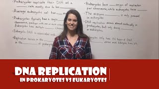 DNA Replication in Prokaryotes vs. Eukaryotes