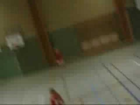 Hellton F-94 - Forshaga 2007