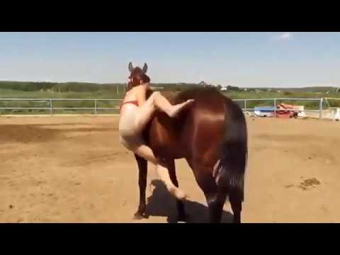 , title : 'Πάει να ανέβει στο άλογο αλλά δεν μπορεί, δείτε την αντίδραση του αλόγου αμέσως μετά!'
