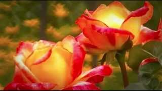 "Gratitude" (Sax Instrumental) UCLA Gospel Choir