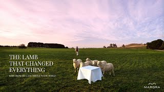 The Lamb That Changed Everything