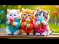 MEOW MEOW KITTENS THE CUTE CAT MEOW ️ Latest Viral Indonesian Children S Song