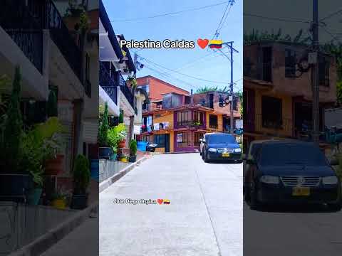 Palestina Caldas, No Te Vayas Sin Seguirme Muchas Gracias ❤️🇨🇴 #ejecafetero #colombia