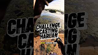Download lagu Challenge Casting Haruan Eps 1 #fishing #castingharuan #kakipanjang #letupkawkawfishing mp3