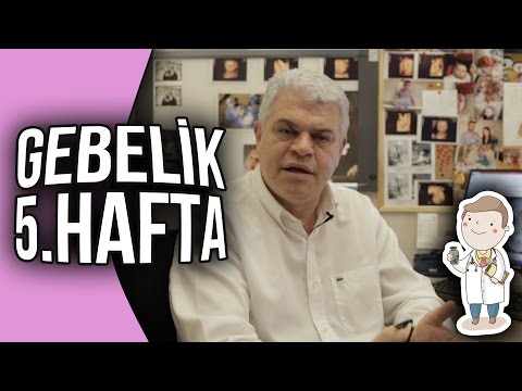 Doktor Evinde - Gebelik 5. Hafta