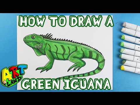 How to Draw a GREEN IGUANA