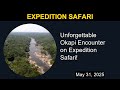 Unforgettable Okapi Encounter On Expedition Safari Expedition Safari