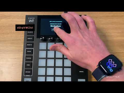 Wolfmix-W1 aktivieren