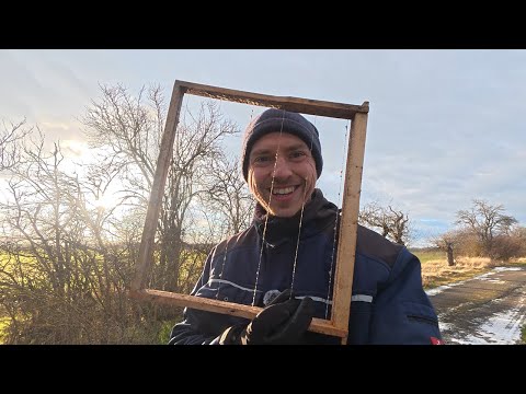 Futtermangel oder Bienenvolk nicht mehr da?