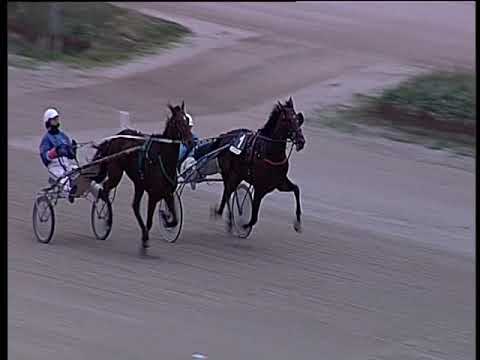 Trotto 25/11/2018 - prova di qualifica