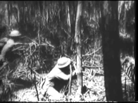 ENGINEERS BUILD PILLBOX [ETC.]