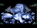 Notis Sfakianakis - Gia mena(Бг превод).mpg 