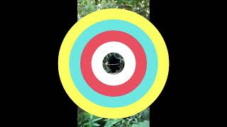 合庫週二登山隊-20251007後山埤站-虎山峰-南港山峭壁攀岩線橫向步道-捷運象山站