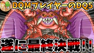 【DS版DQ5】DQM4開発決定！原作を完全初見で予習していく生配信-Part3-【LIVE】