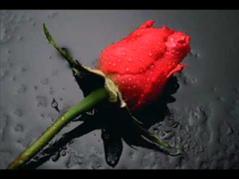 Reknail - Trynite na rozata.avi