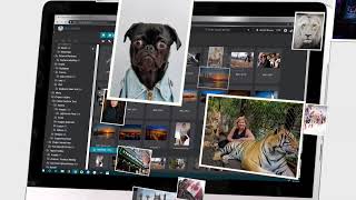 Eyebase YouTube Video