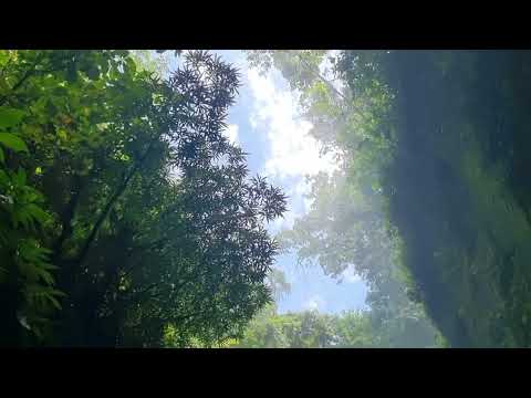 Klosay Waterfall, Bocas del Toro, PALTOUR BOCAS