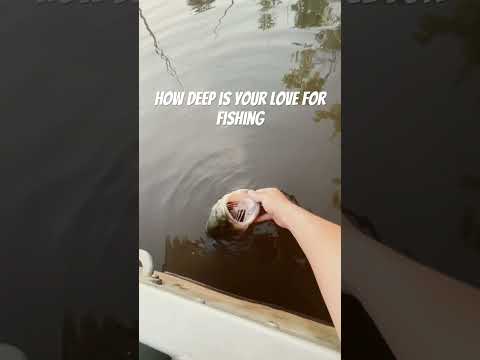 #submarine #submarinemissing #bassfishing #fishing