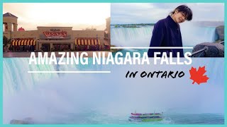 【カナダVlog】3泊4日トロント旅 | オンタリオの絶景をお届けします