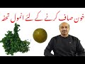 Home Remedy To Remove Toxins From Blood Khoon Saaf Karnay Ka Tareeka Dr Afzal