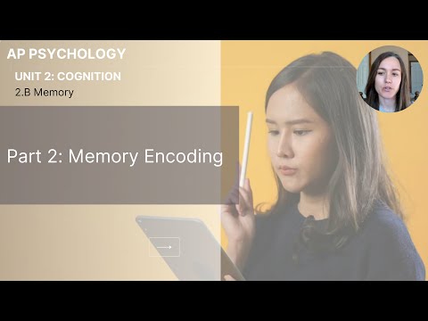 Unit 2B Part 2 Memory Encoding