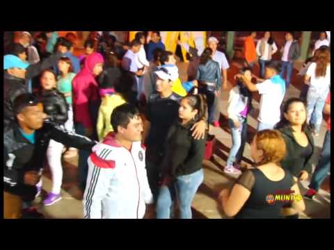 El Mix Claveles 4 Internacional Matices -En La Gallera (U)rrunvgv