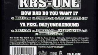 KRS One &amp; P-Doe  - How bad do you want it