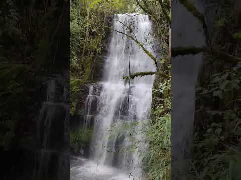 Caminatas Ecológicas a las Cascadas el Golpe Manta Cundinamarca #senderismo #naturaleza #colombia