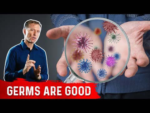 The Top 3 Best Gallbladder Herbs