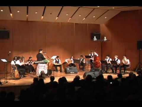 The Michigan Arabic Orchestra - Ibnil Balad ابن البلد