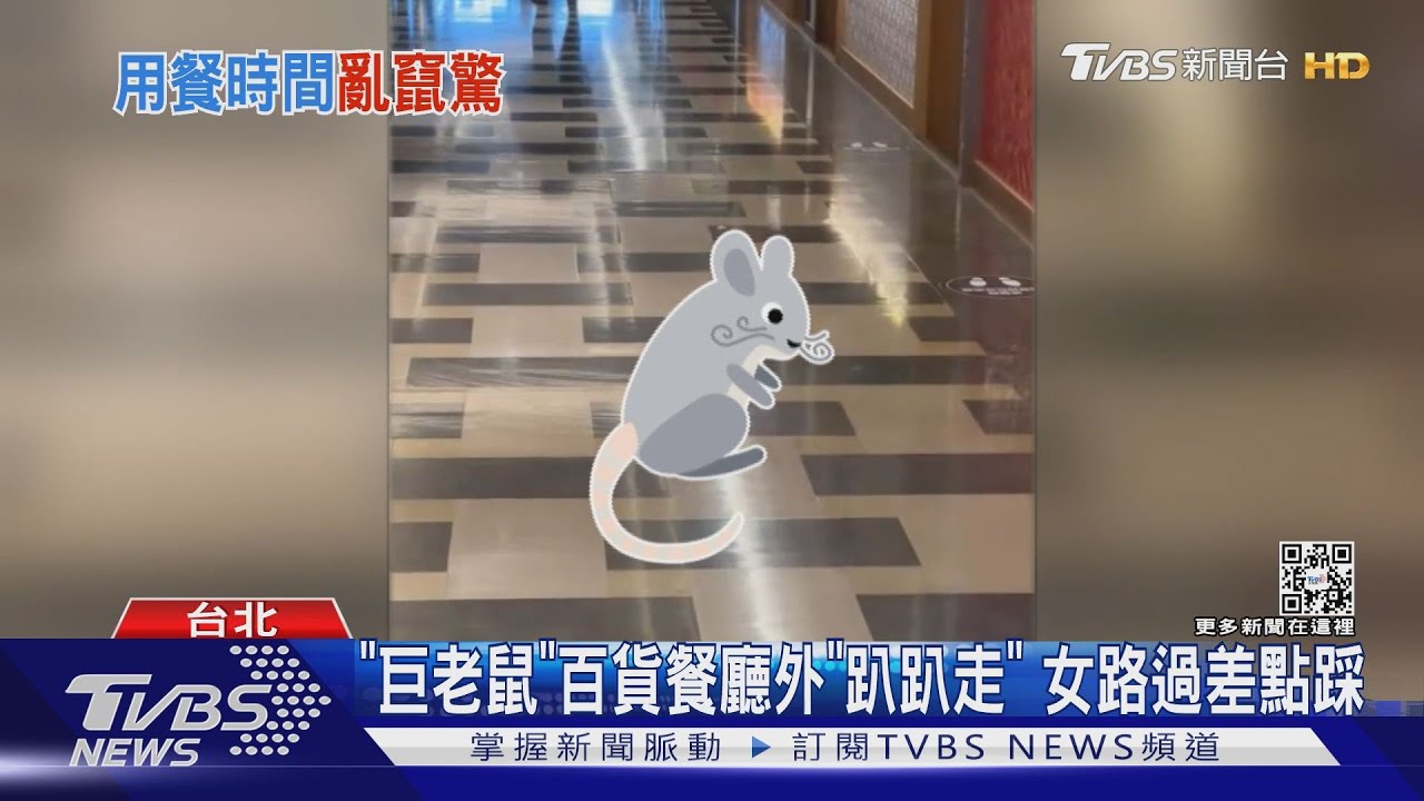 「巨老鼠」百貨餐廳外「趴趴走」 女路過差點踩