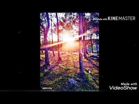 faycal sghir ft cheb adjel new album