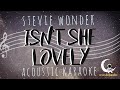 ISN T SHE LOVELY Stevie Wonder Acoustic Karaoke