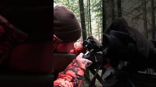 Drückjagd in der Eifel 🐗 mit ⁨@Huntingroom⁩