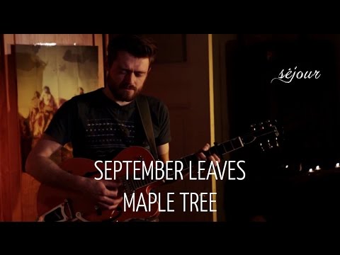 September Leaves - Maple Tree (Live Akustik)