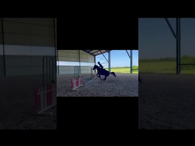 Poney pour grosses &eacute;preuves