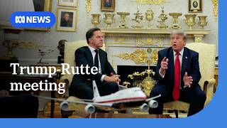 NATO head meets Donald Trump in bid to mend US relations | ABC NEWS