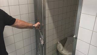 Tijdelijke dierenopvang op Rotterdam-Zuid