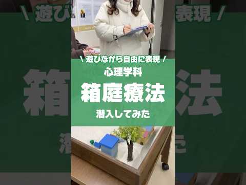 心理学科箱庭療法の授業に潜入してみた🎥#箱庭 #心理学 #大学生 #徳島文理大学