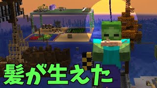 星明りの世界を回ったら髪の毛が増えた・・・なんかいろいろモッドが入ってるマインクラフト15話