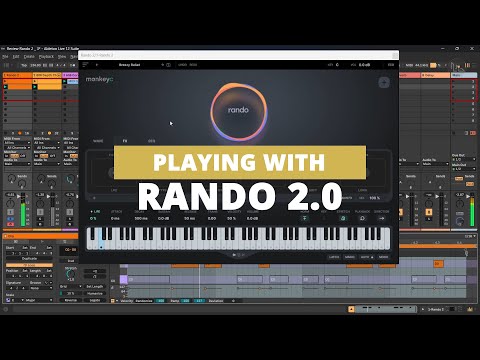 Rando 2.0 Review - Example use | Wavepusher.com