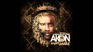 Akon - Konkrete Jungle - 04 - Samn Damn Time Remix feat Future