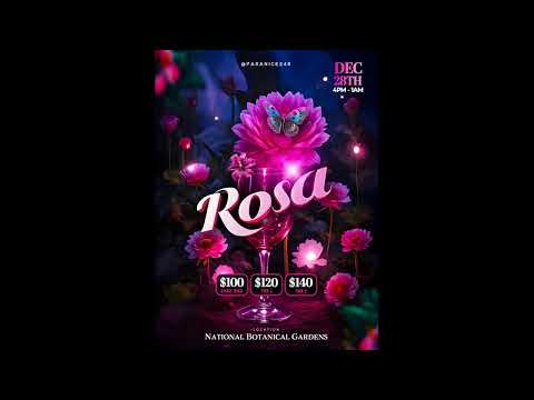 LEVEL VIBES - LIVE AT PARANICE - ROSA (DEC 28TH 2025)