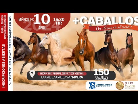 10/04/2024  Gastón Araujo Agronegocios, Julio Xavier / Local La Caillava - Rivera