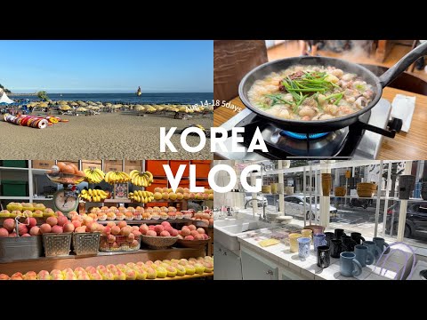 [Coréia Vlog] 2023.08 Busan pela primeira vez em 4 anos!!!Viagem de verão à Coreia do Sul por 4 noites e 5 dias parte 1/Seomyeon/Jeonpo/Haeundae/Nampo-dong
