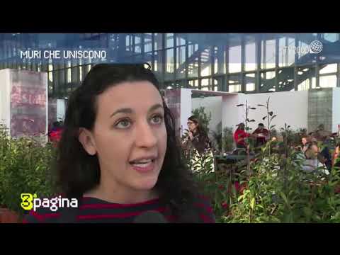 Michela Monferrini, "Muri maestri". Terza pagina dell'8 gennaio 2019