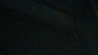 あらっ     居たの？    ははは